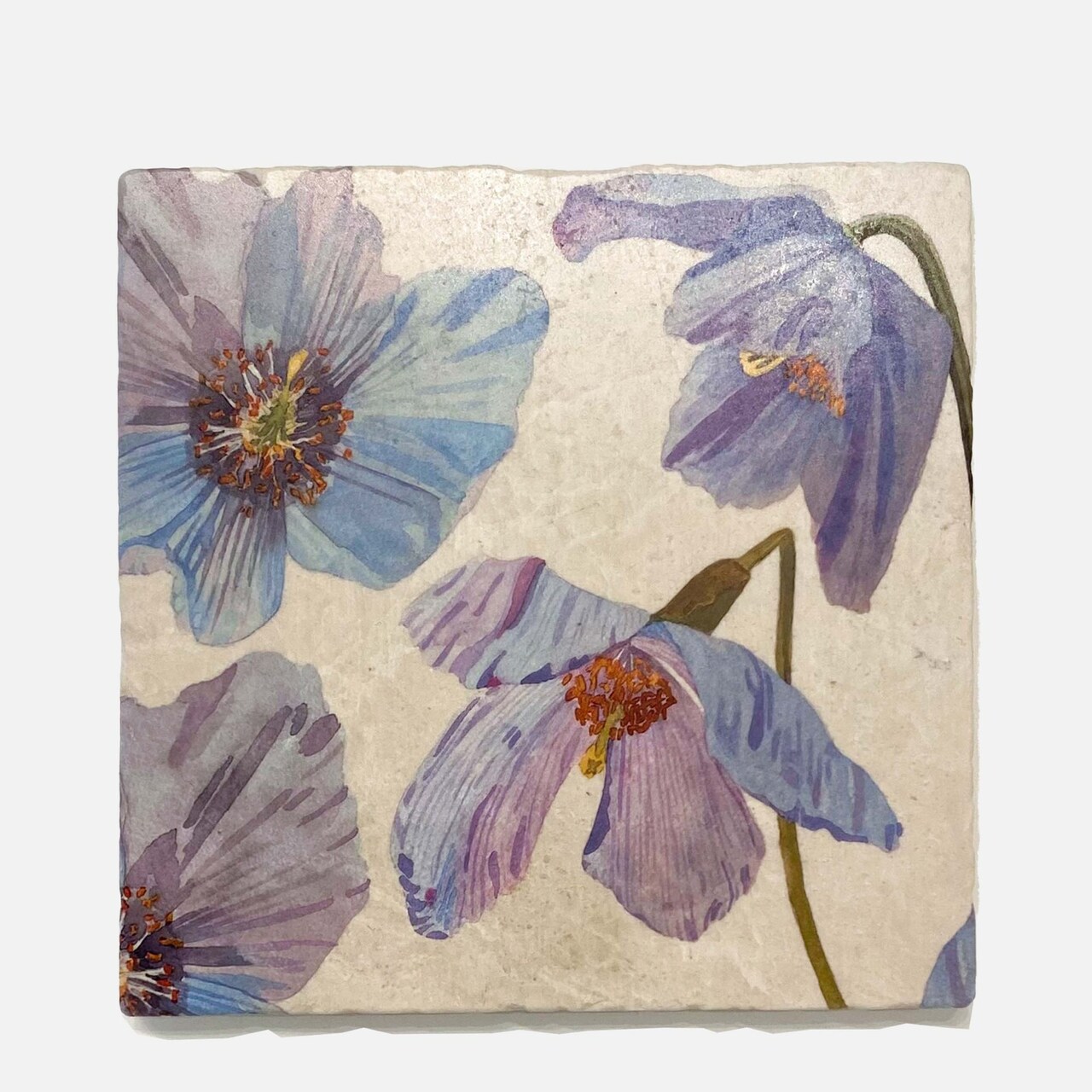 Edge Collections - 6" x 6" - Multicolor - Elegant Marble Trivet for Stylish Serving - 1 Piece